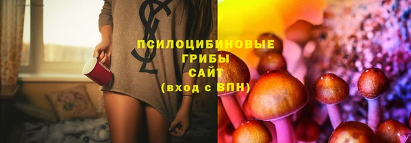 крисы Киреевск