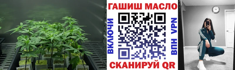 Купить где  Севск  Дистиллят ТГК гашишное масло 