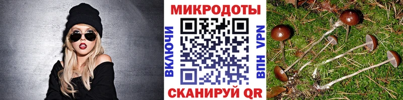 Псилоцибиновые грибы MAGIC MUSHROOMS  Купить где  Севск 